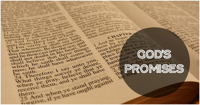 Here is a lesson about how God is trustworthy and faithful in all that He promises us. His promises do not rely on us; they rely on Him.