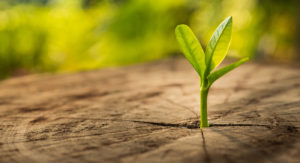 Here is a lesson based on Matthew 28:2-9 Use this game to show students how Jesus&rsquo; death and resurrection brings us new life.