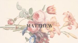 matthew youth group teaching series