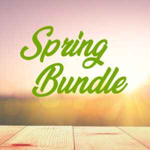 Save 80% on $494 worth of youth ministry lessons and games for spring, summer and beyond.