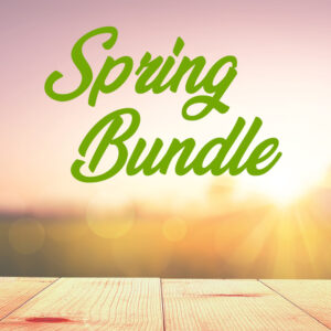 Save 80% on $494 worth of youth ministry lessons and games for spring, summer and beyond.