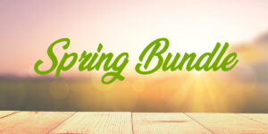 Save 80% on $494 worth of youth ministry lessons and games for spring, summer and beyond.