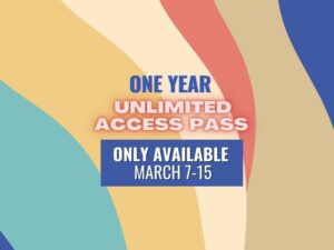 one year unlimited access pass to youth ministry teaching