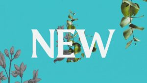 Easter youth group games