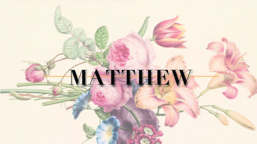 A new 4-week small group Bible study series on the book of Matthew helping students understand the Gospel (or good news) of Jesus.