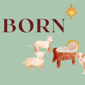 youth christmas bible lessons