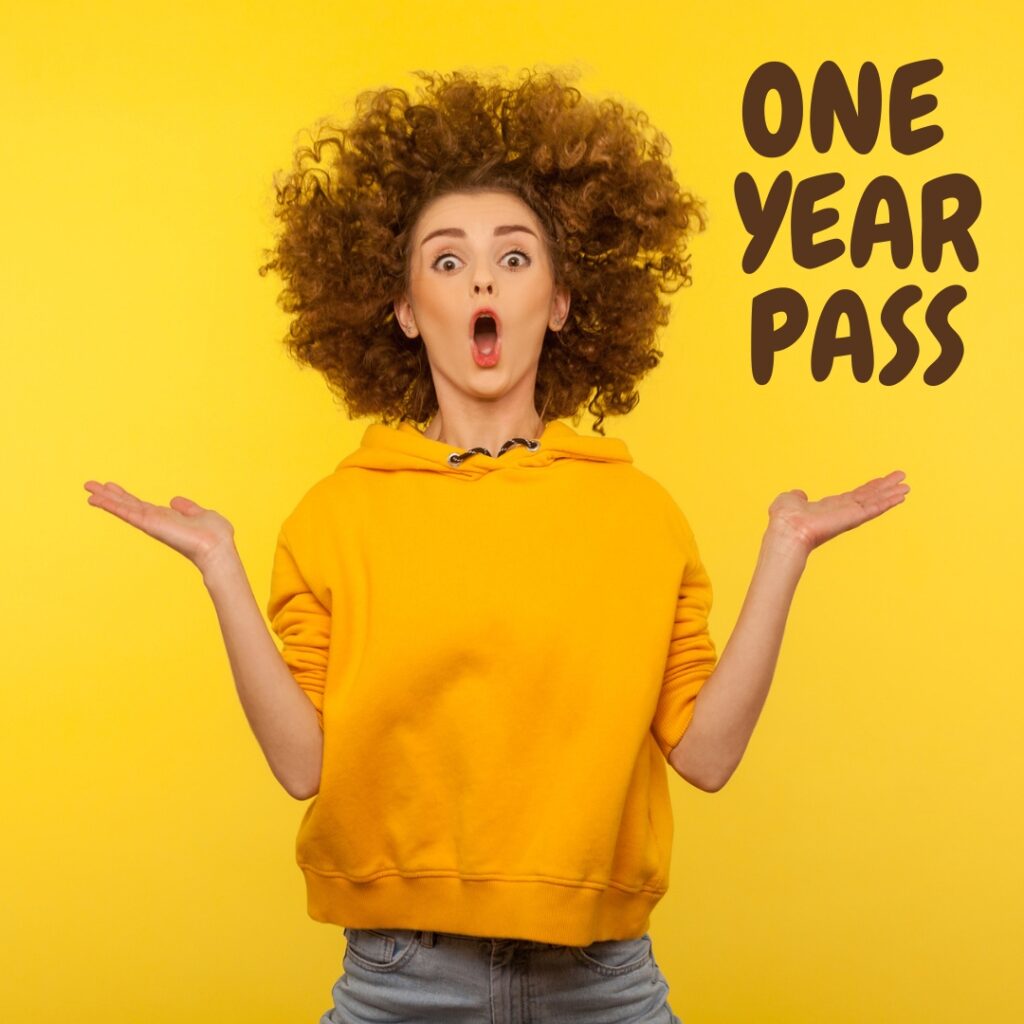 youth bible lessons one year pass